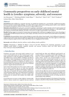 Community perspectives on early childhood mental health in Lesotho: symptoms, adversity, and resources